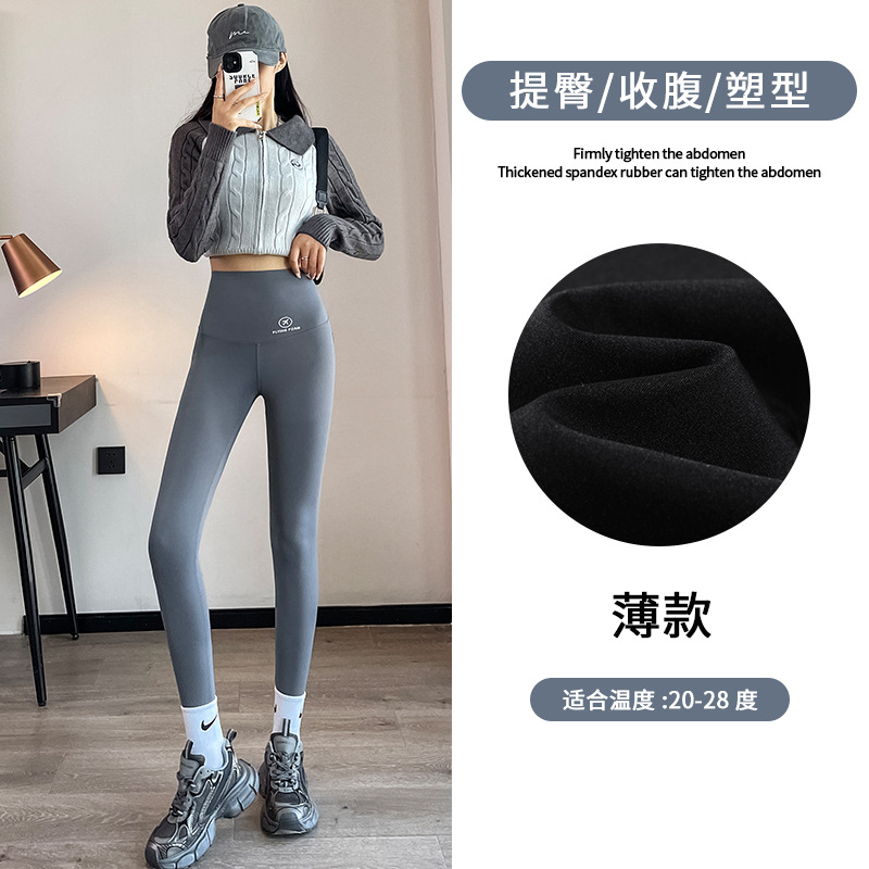 9 점 항공기-얇은 회색