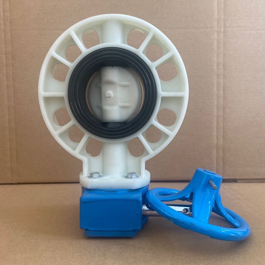 阀门企业  供应FRPP涡轮蝶阀 型号D371X-10S DN50