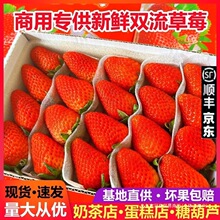 ļrݮˮ決̲茣ͬpݮS]