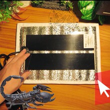 CM���x���{�ؼӟ�|�������֩����܌���Ӝض���ӟ�USB�ӟ�|