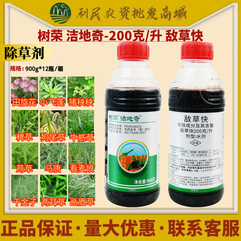树荣洁地奇200克/升敌草快田旋花小飞蓬猪秧秧狗尾草除草剂农药