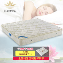 ˯ɏ���| ��˯�o�� 1.5m1.8�� �������b�� ϯ��˼���z���|