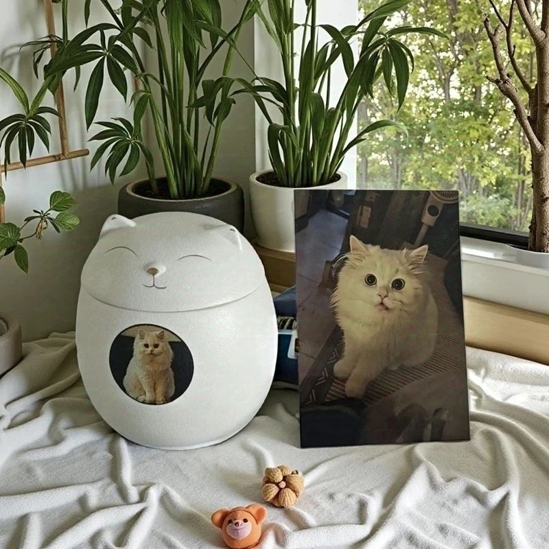 고양이/사진-대형 + 6inch 사진 무료 제공