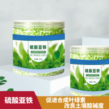 【厂家直销】硫酸亚铁花肥料栀子花茉莉花专用肥铁肥叶面肥水溶肥