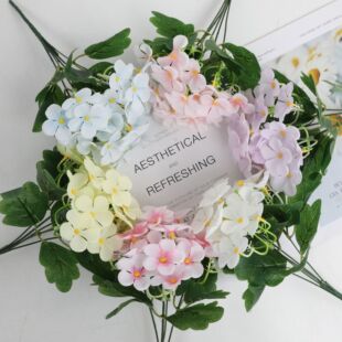�羳���滨�P�ɻ����콑�� �Ҿӻ�Y�b�ͥԺ�����辰������l