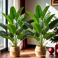 �羳�Gֲ��ֲ�����˽��������Ի��[�O�҃ȷ����Gֲ�b������B