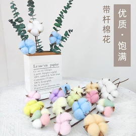 仿真花;永生花;干花