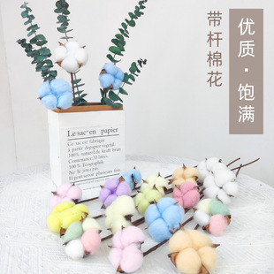 �޻��ɻ����l�������滨�Ҿ��b���Ʒ���յ�����Ȼ��ɫľ�޻��ɻ�