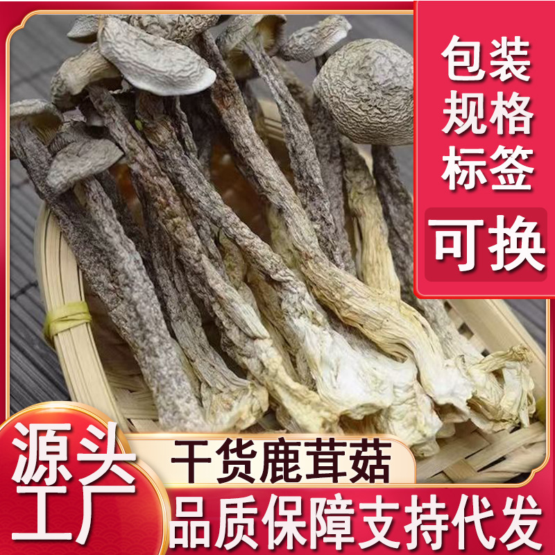 干货鹿茸菇煲汤500g福建土特产脆脆菇香菇无硫新货鹿茸菇代发