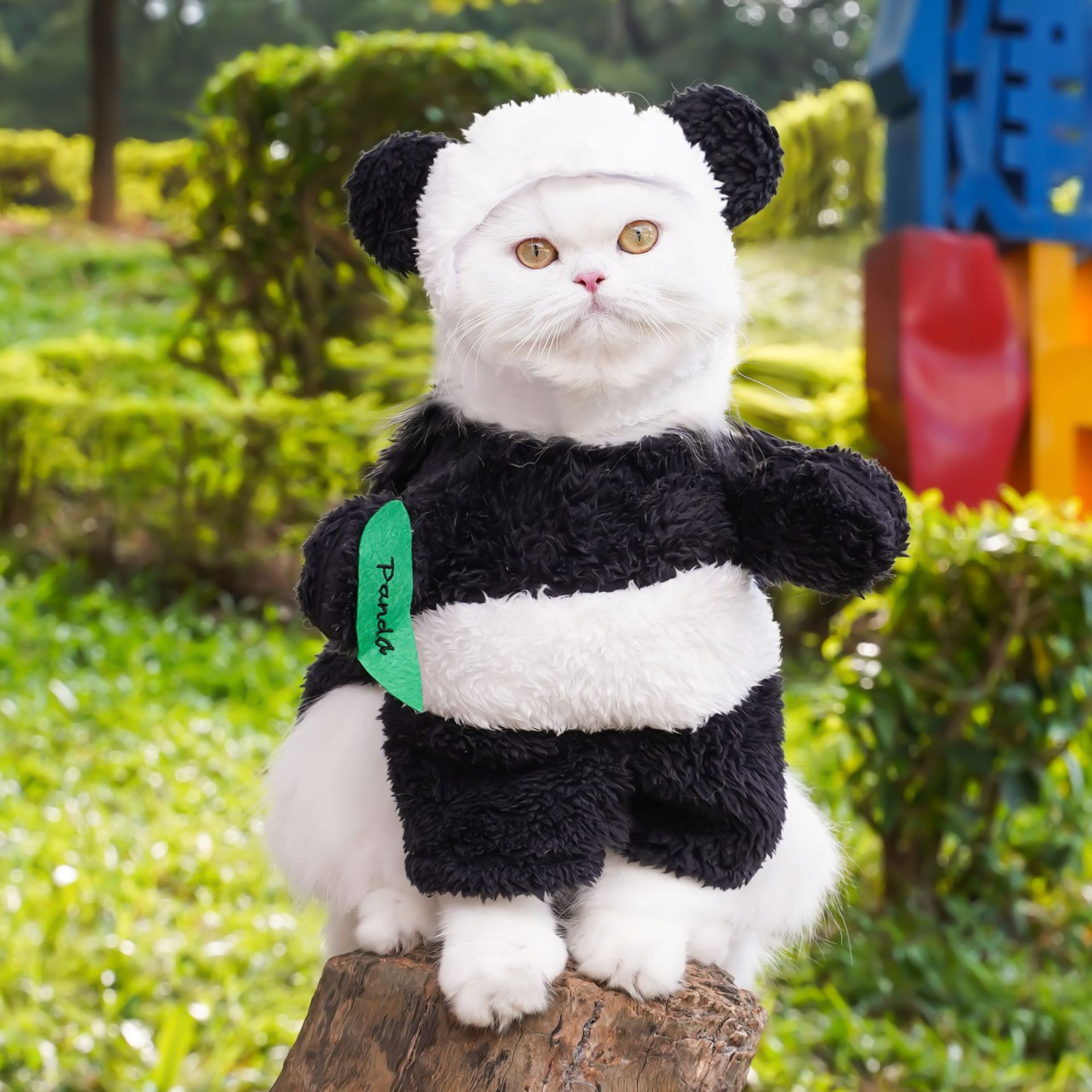 Ropa para mascotas Amazon transfronteriza Panda de pie transformación traje divertido oso de peluche perro gato ropa