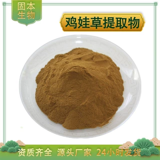 鸡娃草提取物水溶鸡娃草粉白花丹素刺矾松/蓝雪草提取物 厂家包邮