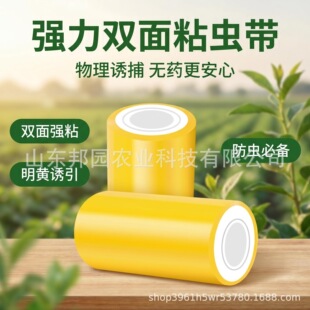 �羳�p����x�z��ճ�x�Sɫ�z���@����ľͨ���p���p�@���ճ�x���S
