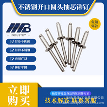 霸牌全不锈钢316开口型圆头抽芯拉铆钉锚钉柳丁船用防腐GB12618.4