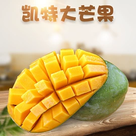 月饼;块茎类;奇异果猕猴桃