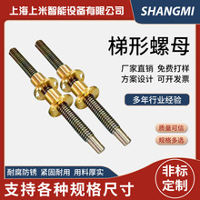 厂家定 制不锈钢梯形螺母 配套t型螺栓螺母 不锈钢T型螺母