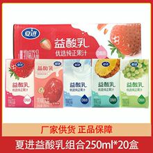 夏进益酸乳原味草莓红枣菠萝牛奶饮品酸奶儿童成人早餐250ml*20盒