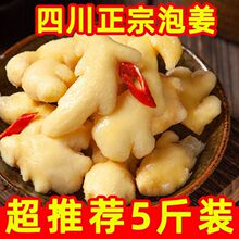 泡姜正宗四川特色泡姜黄姜泡生姜腌制泡菜鲜嫩泡老黄姜一件代发