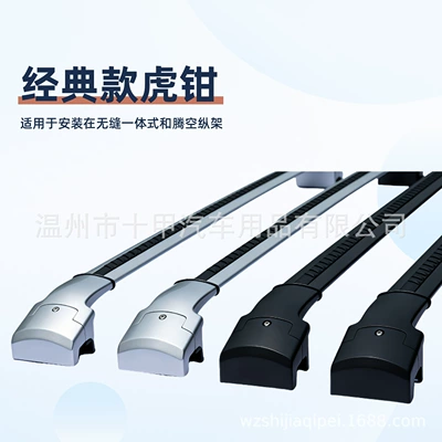 Design for Carrying Luggage – Roof rack