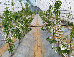 ����܇���ә��Ҙ������Ե��Դ�����Ϸ������Nֲ����Y���������