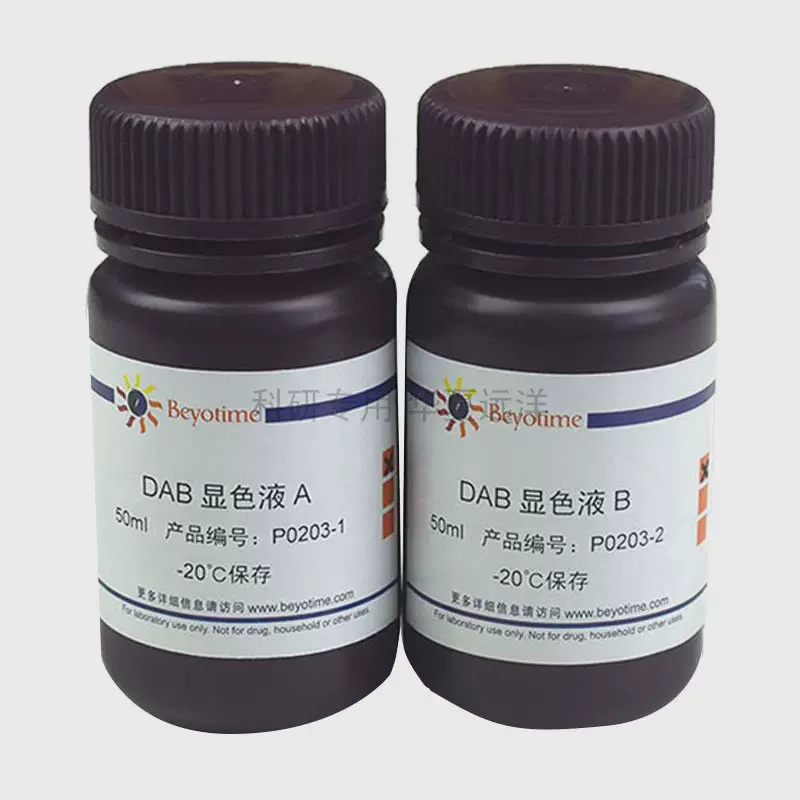 P0203-共100ml DAB辣根过氧化物酶显色试剂盒 碧云天
