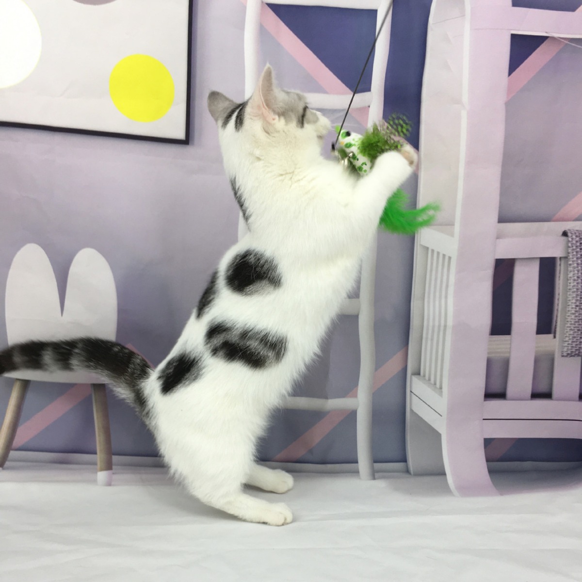 Xingzhi gato pájaro chupando gato alambre de acero varilla larga divertido gato palo con campana mordedura reemplazable succión rápida gato juguete