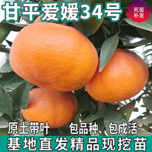 һ�����l��ƽ���٘������Ե����ϱ����o�ѽ��Ӽ޽Ӑ���34̖������