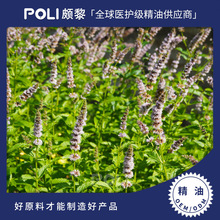 Ӣ���M�����m��G���ɾ��� ��Ȼ�η�����ԭ�� POLI/�H�辫�����l