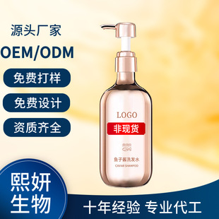 Oem Customized Caviar Shampoo Factory Oil Control, Anti-Dandruff, Anti-Itch, Long-Lasting Fragrance Shampoo Oem Processing and Oem