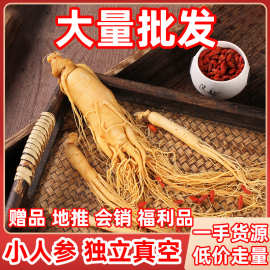 长白山人参 保鲜人参酒瓶参煲汤泡酒爪子参新鲜人参滋补品批发