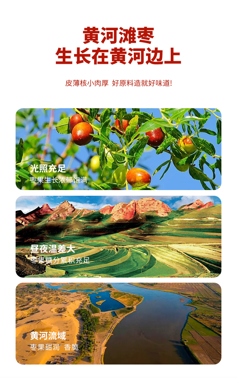 Ningxia Yellow River Beach Jujube Dried Red Dates Ready to Eat 500g quality and texture