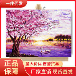 V45Odiy数字油画手工填色数码家居装饰人物花卉风景学生水彩照片