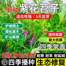 ~ϻӷNLëҰ㶹Nӹ@GBԴݷNë