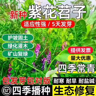 ���~�ϻ����ӷN���L��ëҰ�㶹�N�ӹ��@�G���B����Դ�ݷN��ë����