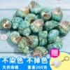 Green snail ￥ 9.9 200 grams