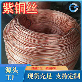 厂家现货供应T3紫铜线T2紫铜线T1高质量紫铜丝规格品种齐全可零售