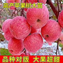 �޽��O��������ϱ����N���Ե�����ͥԺ�����O����Y���������