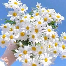 ʾշNСrջNļ_̨҃ͥԺ԰׾շN