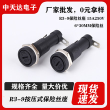 R3-9���U�z��6*30 �͸ߜر��U���� ���U�z��15A/250Vһ����