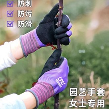 Ůʿ�@ˇ���׷��̷�ˮ������ĥ�s���N���¼�õ�廨ˇ�Nֲ