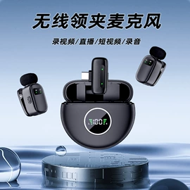 麦克风/话筒;扩音器;影音电器配件