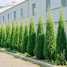 ���ؘ������ɰ؂Ȱؘ���A���ɘ䌚����������G�����ļ�����G