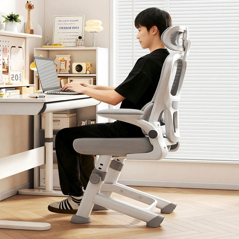 Home Computer Chair Ergonomic Chair 2026 New Model for Young People, High School and Junior High School Students, Children's Study Chair