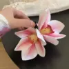 5648 Magnolia Scratch-White Powder
