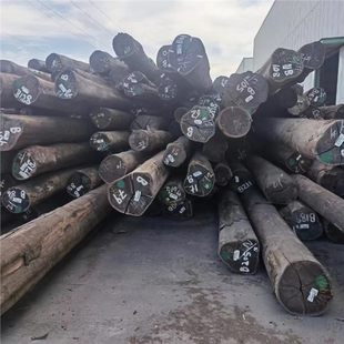 �u���ľľ�I�u��ľ���Ⱥ��u��Īɣm48