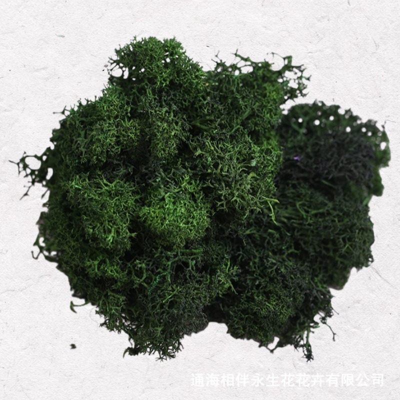 Dark grass green·everlasting moss