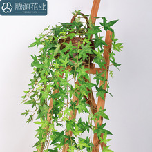 Gֲ ع~ Ҿӿ͏dƵܛbcöU辰ֲ٘~