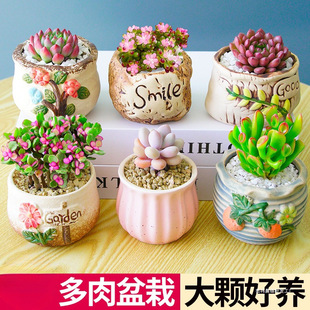 ֲM҃С¶ҵմɻϘGֲ