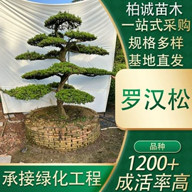 乔木;灌木;其他园林植物