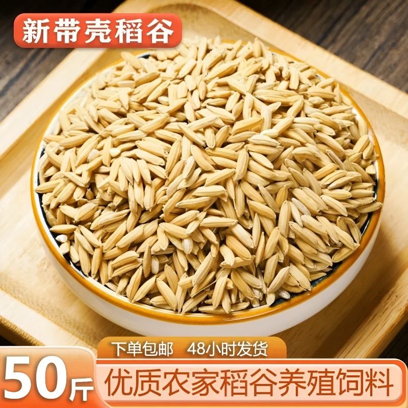 ca14fda4ceea5da2aa36f1f4c80306