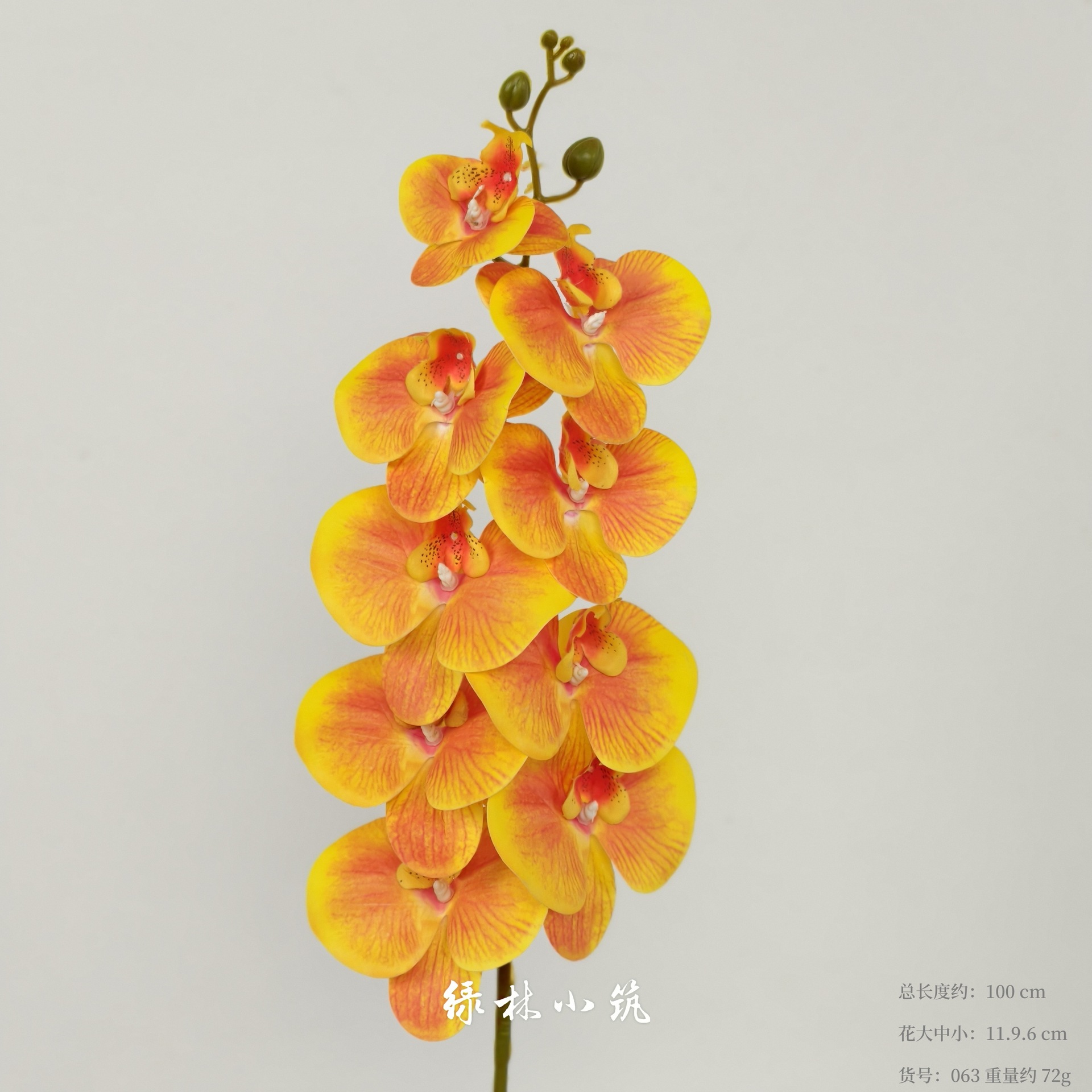 품목번호 063-9머리 호접란 3D